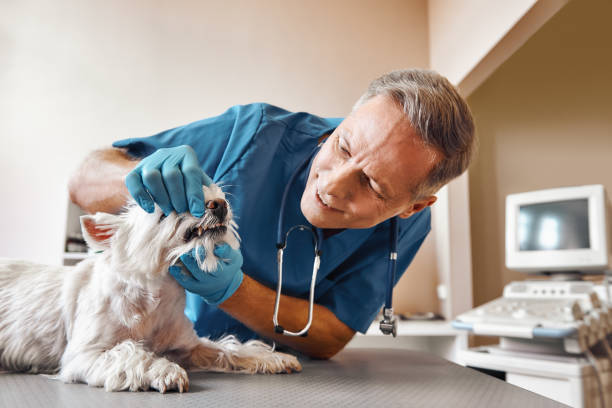 Best Walk-In Emergency Dentist in Weaver, AL
